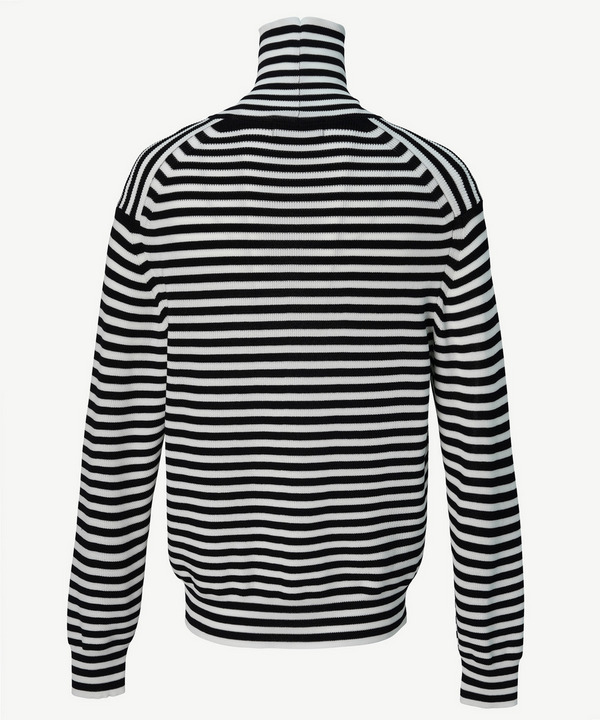 PHOTOCHROMIC BORDER TURTLE 詳細画像 GRAY 5